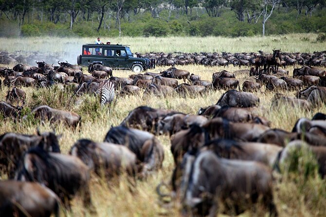 3-Days Maasai Mara Camping Safari on 4x4 Land Cruiser Jeep - Balloon safari option at $450