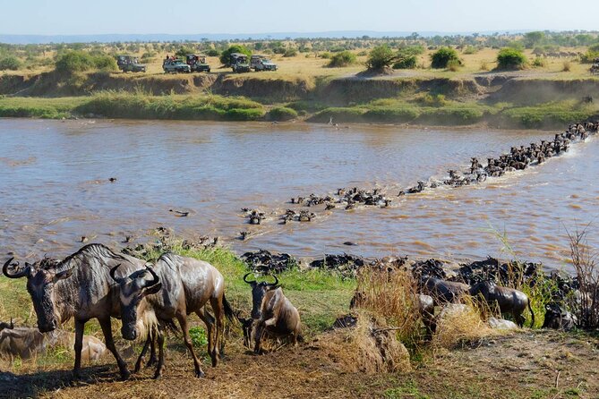 3-Days Maasai Mara Camping Safari on 4x4 Land Cruiser Jeep - The return to Nairobi on day three