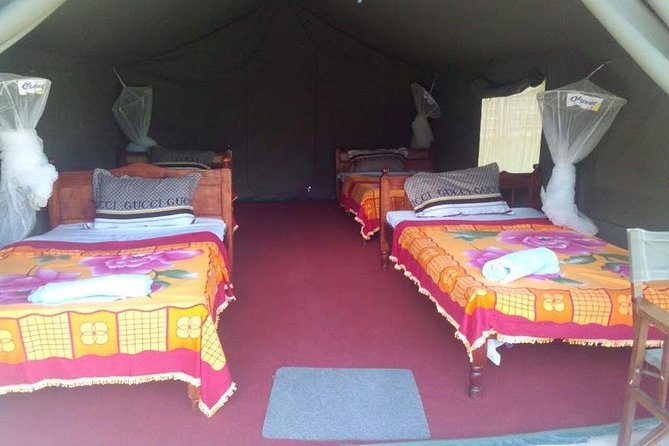3 Days Maasai Mara Guided Safari from Nairobi - Day two: the full-day search for big cats and the Big Five