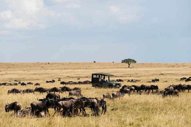 3 Days Maasai Mara Guided Safari from Nairobi - Day three: a cultural visit and the long road back