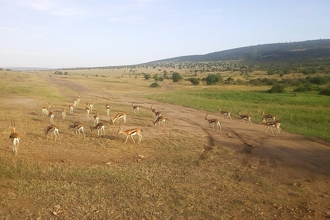 3 Days Maasai Mara Luxury Camping - The optional balloon flight
