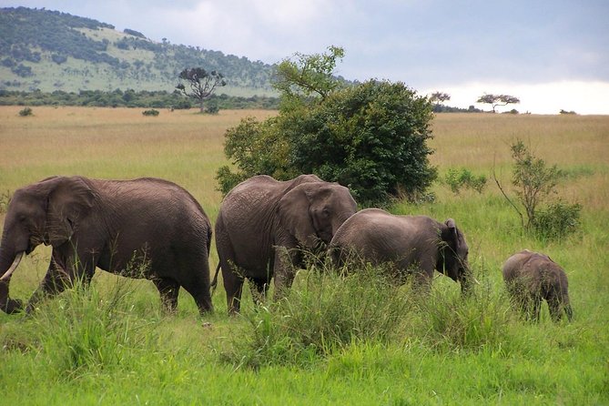 3 Days Maasai Mara Luxury Camping - Is $3,980 good value for your group?