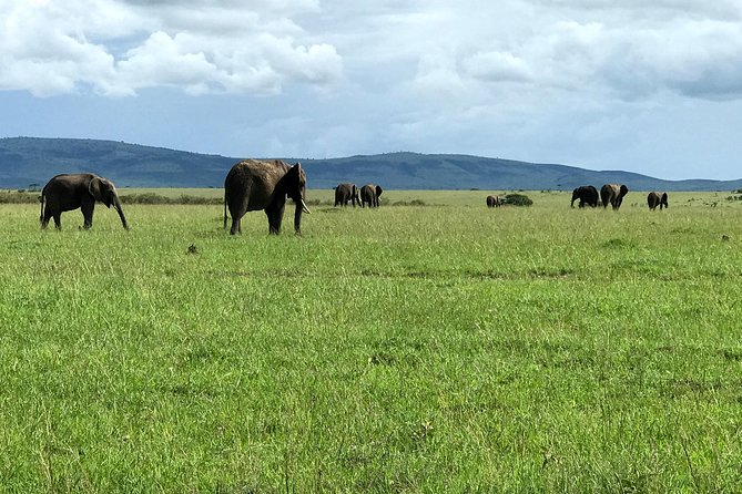 3 Days Maasai Mara Luxury Camping - Who should book this safari?