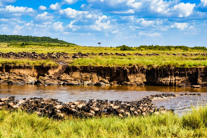 3 days maasai mara migration safari - Who will enjoy this safari most