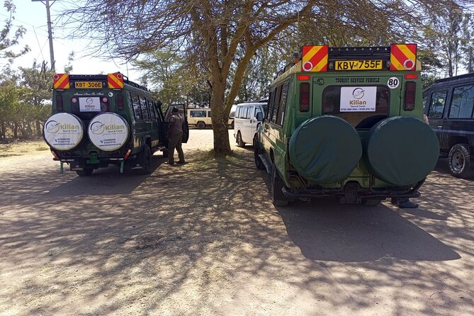 3 Days Maasai Mara Private Safari - Day Two: Eight Hours Searching the Mara