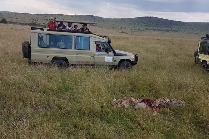 3 Days Maasai Mara Private Safari - Day Three: A Final Drive Before Nairobi