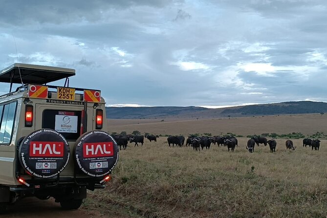 3 Days Maasai Mara Private Safari - What the $1,000 Price Includes