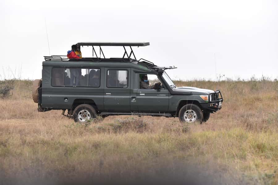 3 Days Maasai Mara Small Group Safari- Jambo Mara Lodge - Jambo Mara Lodge: comfort with a few practical limits