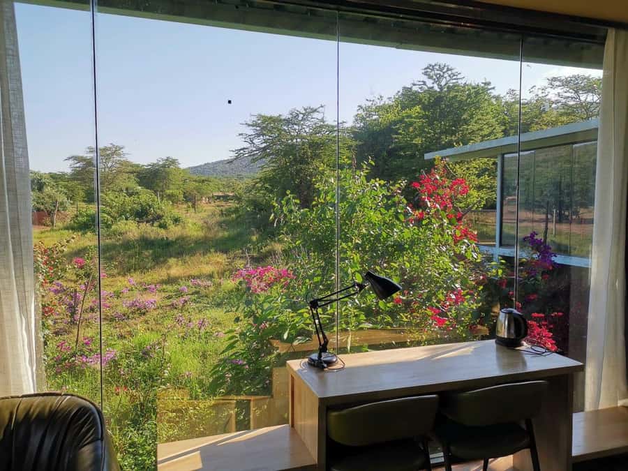 3 Days Maasai Mara Small Group Safari- Jambo Mara Lodge - Who should book this safari?