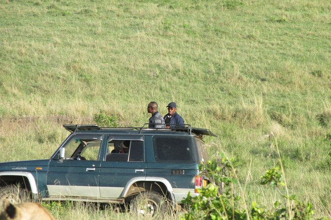 3 days Masai Mara - Meals, park fees, and the real $1,600 cost