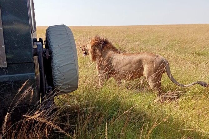 3 Days Masai Mara Budget Cruiser Shared Safari & Maasai Village - Day 1: Nairobi to the Rift Valley and Maasai Mara
