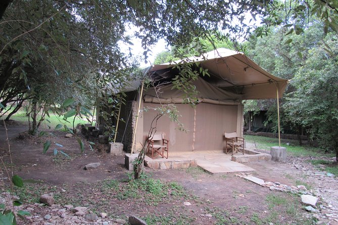 3 Days Masai Mara Budget Safari - The main drawbacks to weigh
