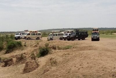 3 Days Masai Mara Budget safari Meals and accommodation included