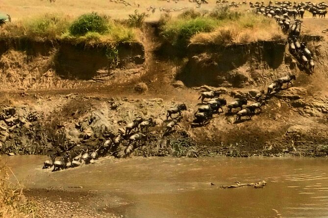3 Days Masai Mara Budget safari Meals and accommodation included - Who should book this Masai Mara trip?