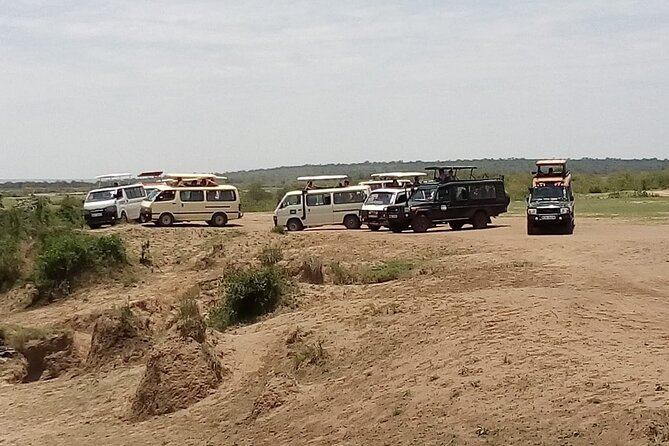 3 Days Masai Mara Budget safari Meals and accommodation included - Day 3: Breakfast, culture, and the long ride back