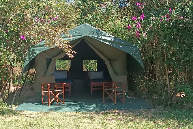 3 Days Masai Mara Camping Safari - Camping comfort and group size