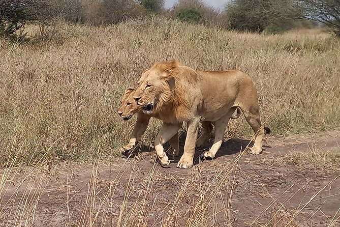 3 Days Masai Mara Experience - Key things to know before booking