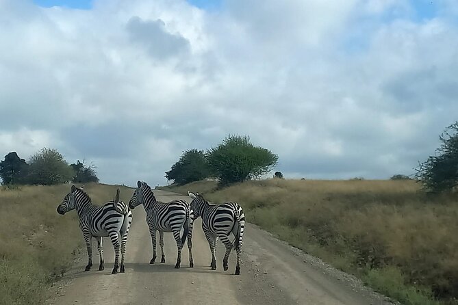 3 Days Masai Mara Experience - What the $990 group price really covers