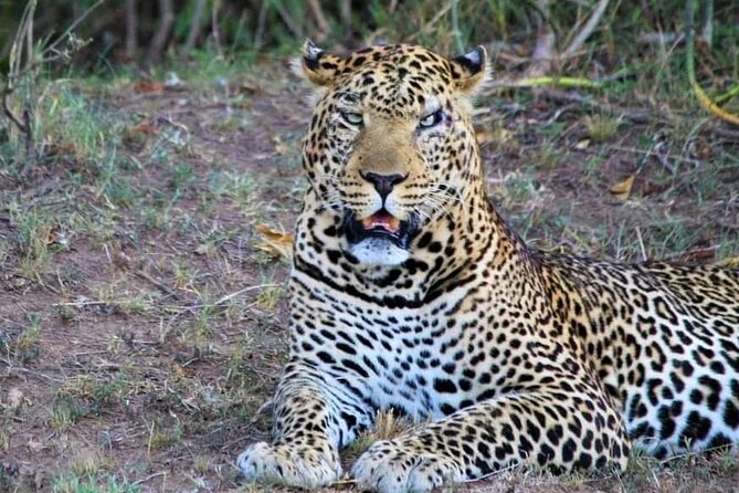 3 Days Masai Mara Flight Safari - How the service may shape your trip
