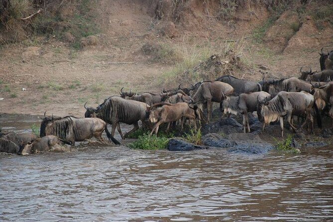 3 Days Masai Mara Group Joining Safari - Leaving Nairobi at 7:30 in the morning