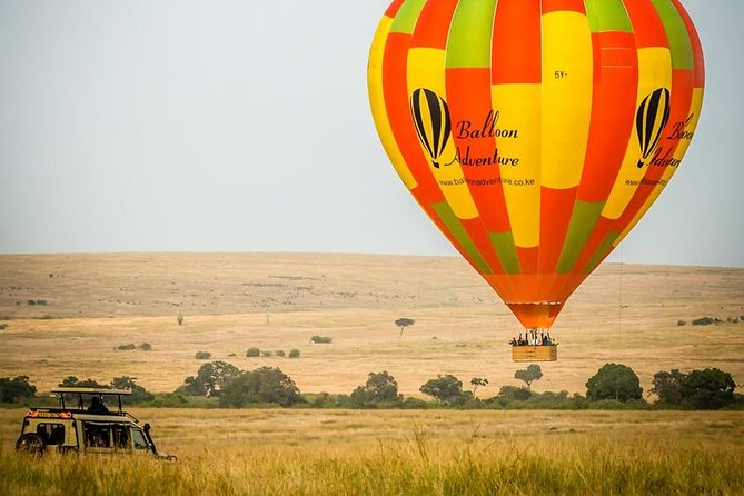 3 Days Masai Mara Joining Tour - Day 2: The main safari day in the Masai Mara