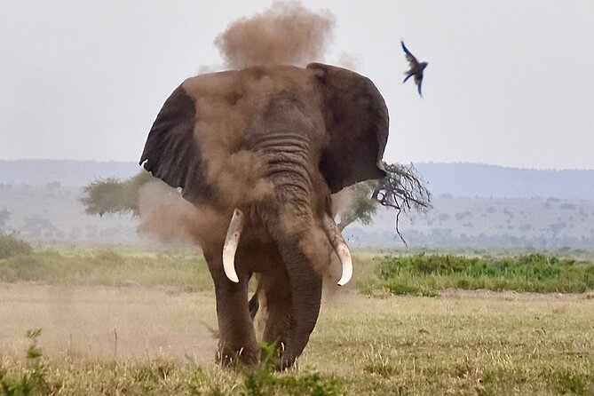 3 Days Masai Mara Luxury Safari - Day one: Nairobi to the Mara by way of the Rift Valley