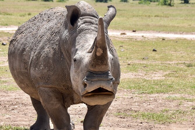 3 Days Masai Mara Luxury Safari - Day three: a cultural stop and the road back to Nairobi