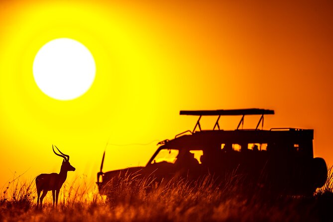 3 days Masai Mara on Private 4x4 Land Cruiser - The final morning and seven-hour return