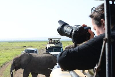 3 days Masai Mara on Private 4×4 Land Cruiser