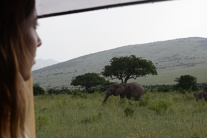 3 days Masai Mara on Private 4x4 Land Cruiser - What the $3,360 price buys you