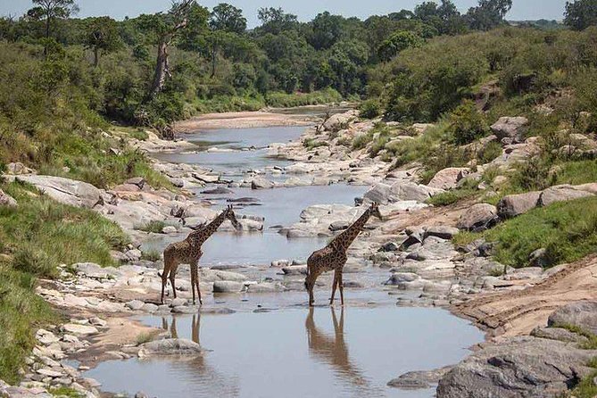3 Days Masai Mara Private Safari at Sopa Lodge from Nairobi - Two nights at Sopa Lodge