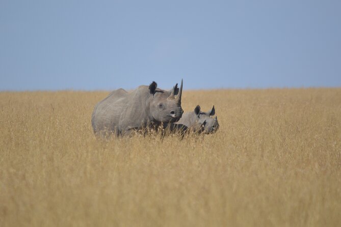 3-Days Masai Mara Rhythms Safari - Practical details worth confirming