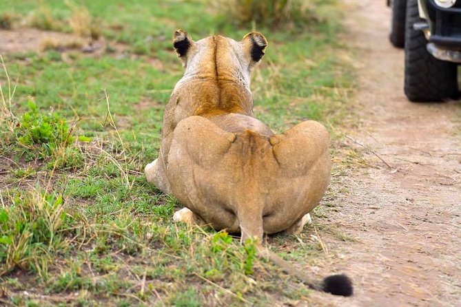 3 Days Masai Mara Safari - The small group and guide experience