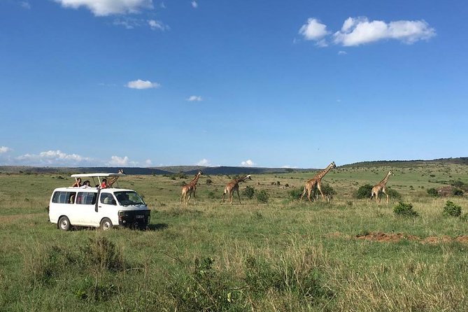 3 Days Masai Mara - From Nairobi to the Great Rift Valley viewpoint