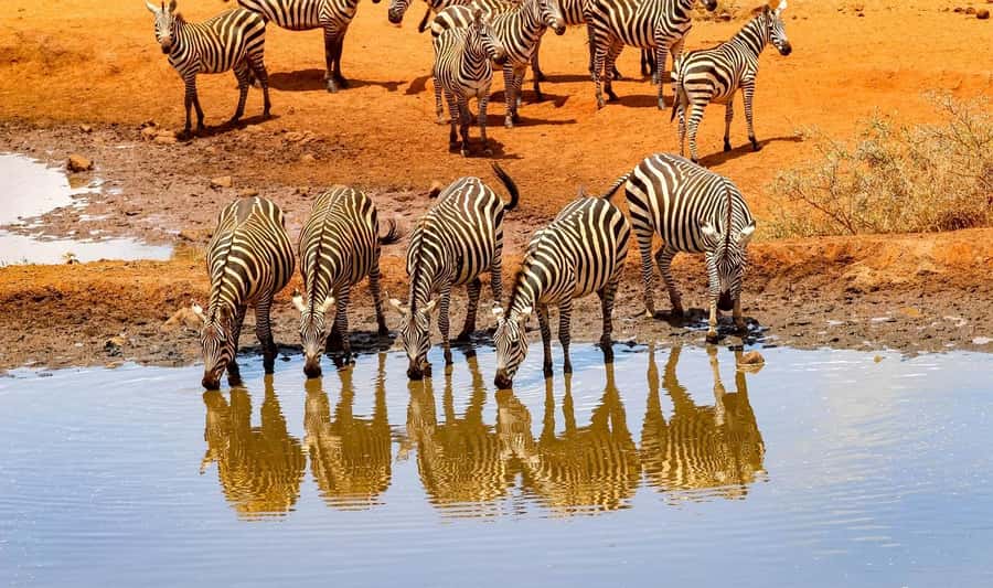 3 Days Nairobi to Amboseli to Tsavo East to Mombasa Safari - Day 2: From Amboseli to Tsavo East