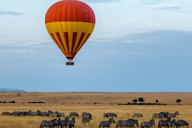 3 Days Safari Tour in Maasai Mara - Who will get the most from this safari