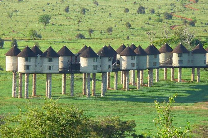 3 days safari Tsavo East and Taita hills (Saltlick lodge) - Why this Mombasa safari works