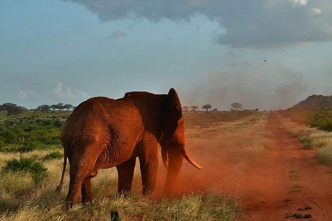 3 days safari Tsavo East and Taita hills (Saltlick lodge) - The price: what $900 per person covers