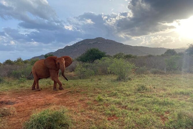 3 days safari Tsavo East and Taita hills (Saltlick lodge) - Who should book this safari?