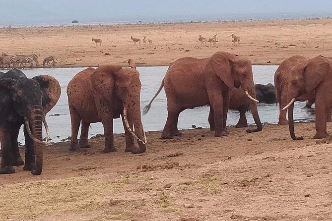 3 days safari Tsavo East and West - Why this Tsavo route works from Diani Beach