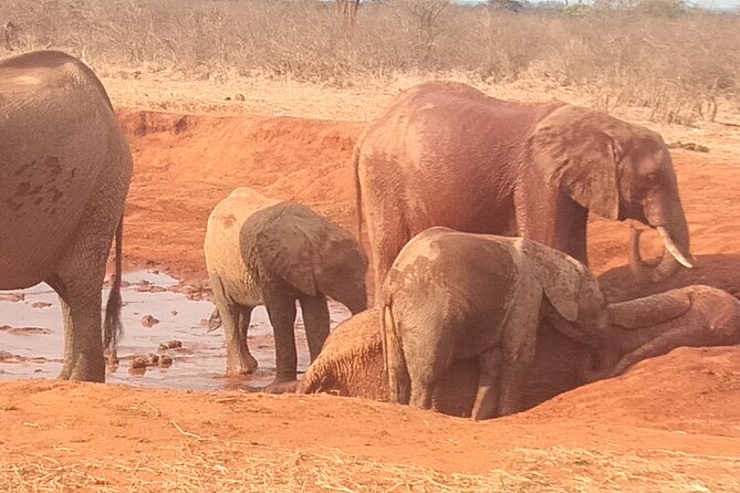3 days safari Tsavo East and West - Day one: Diani to Tsavo East and Voi Safari Lodge