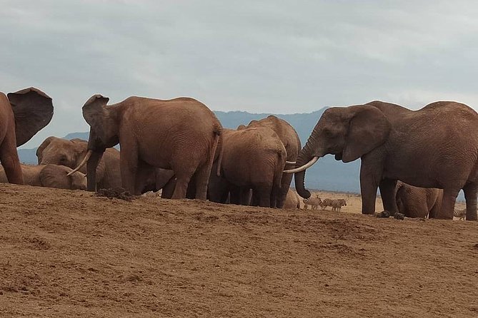 3 days safari Tsavo East and West - The guides and the human side of the trip