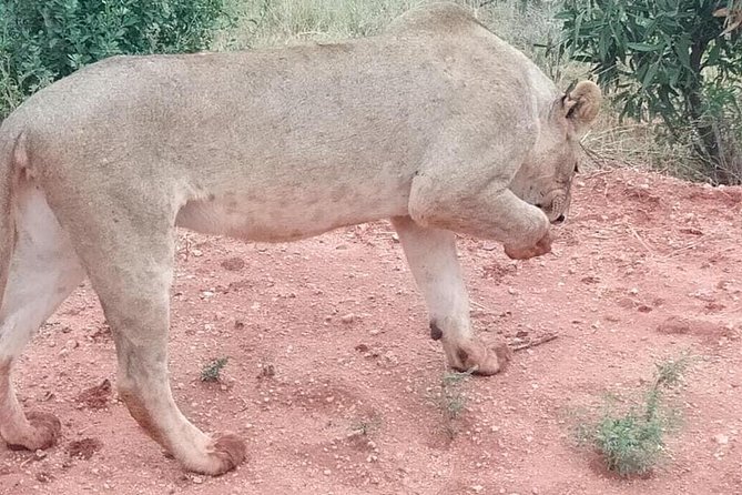 3 days safari Tsavo East and West - Who should book this safari