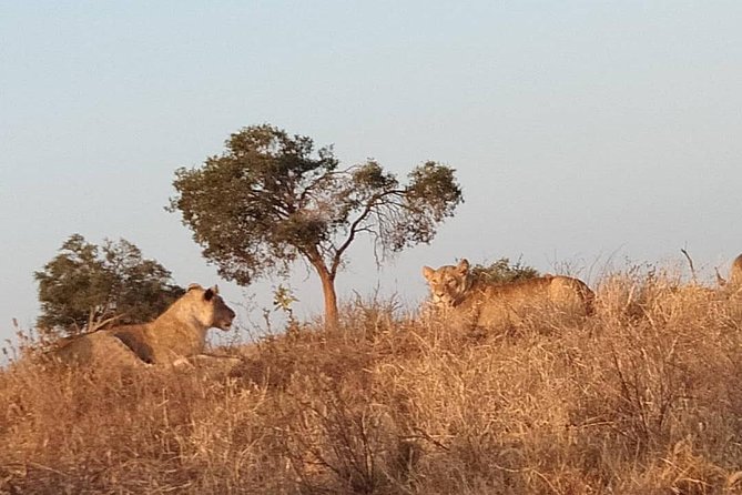 3 days safari Tsavo East and West - Booking and cancellation details