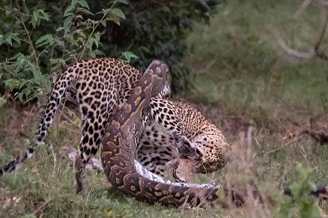 3 Days to Maasai Mara N/R. - Key points to know before booking