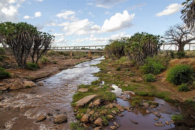 3 Days Tsavo East & Amboseli (2 Nights) - Who should book this safari
