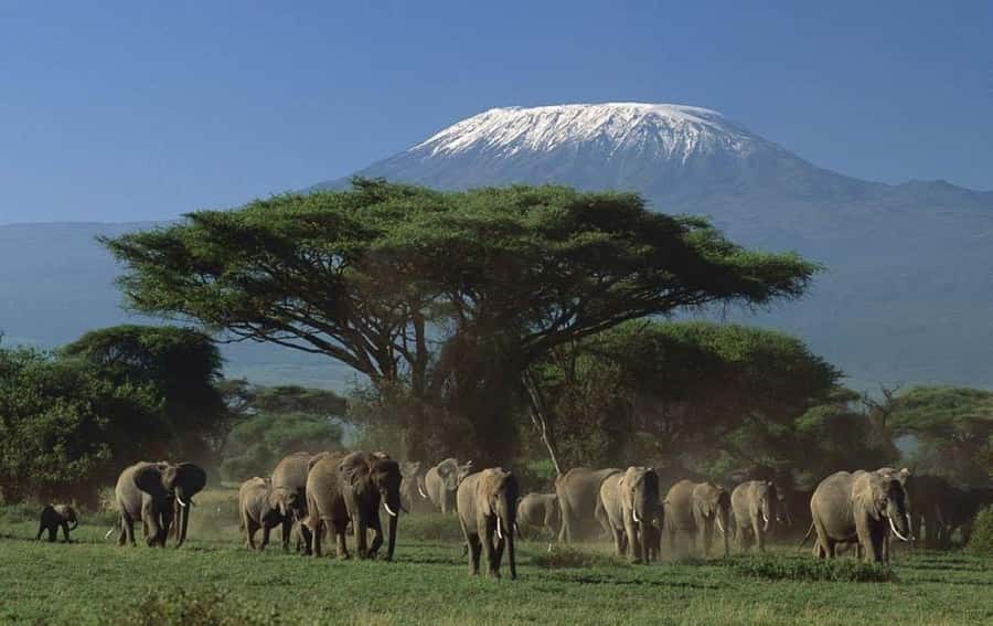 3 days Tsavo East and Amboseli safari from Diani/Mombasa - The safari at a glance