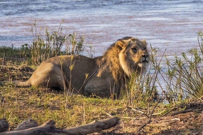 3 nights exclusive Masai Mara safari - The cultural side gives the trip more purpose