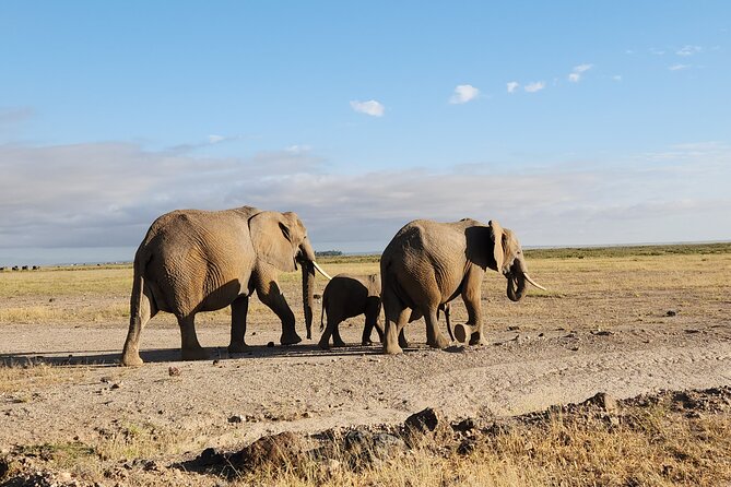 3day Amboseli Park Private safari - The optional Maasai village visit