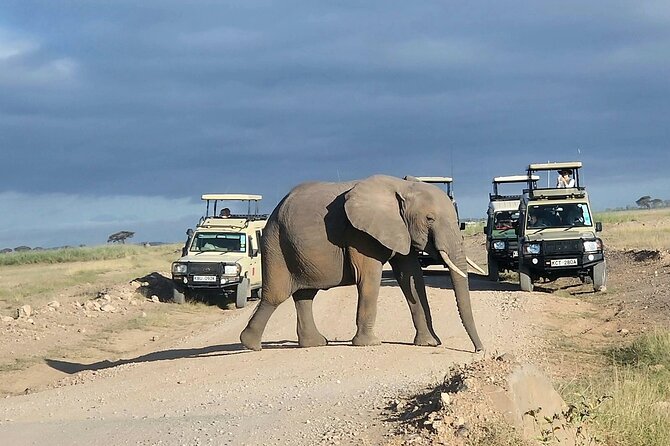 3day Amboseli Park Private safari - Day 3: Sunrise before the road back to Nairobi